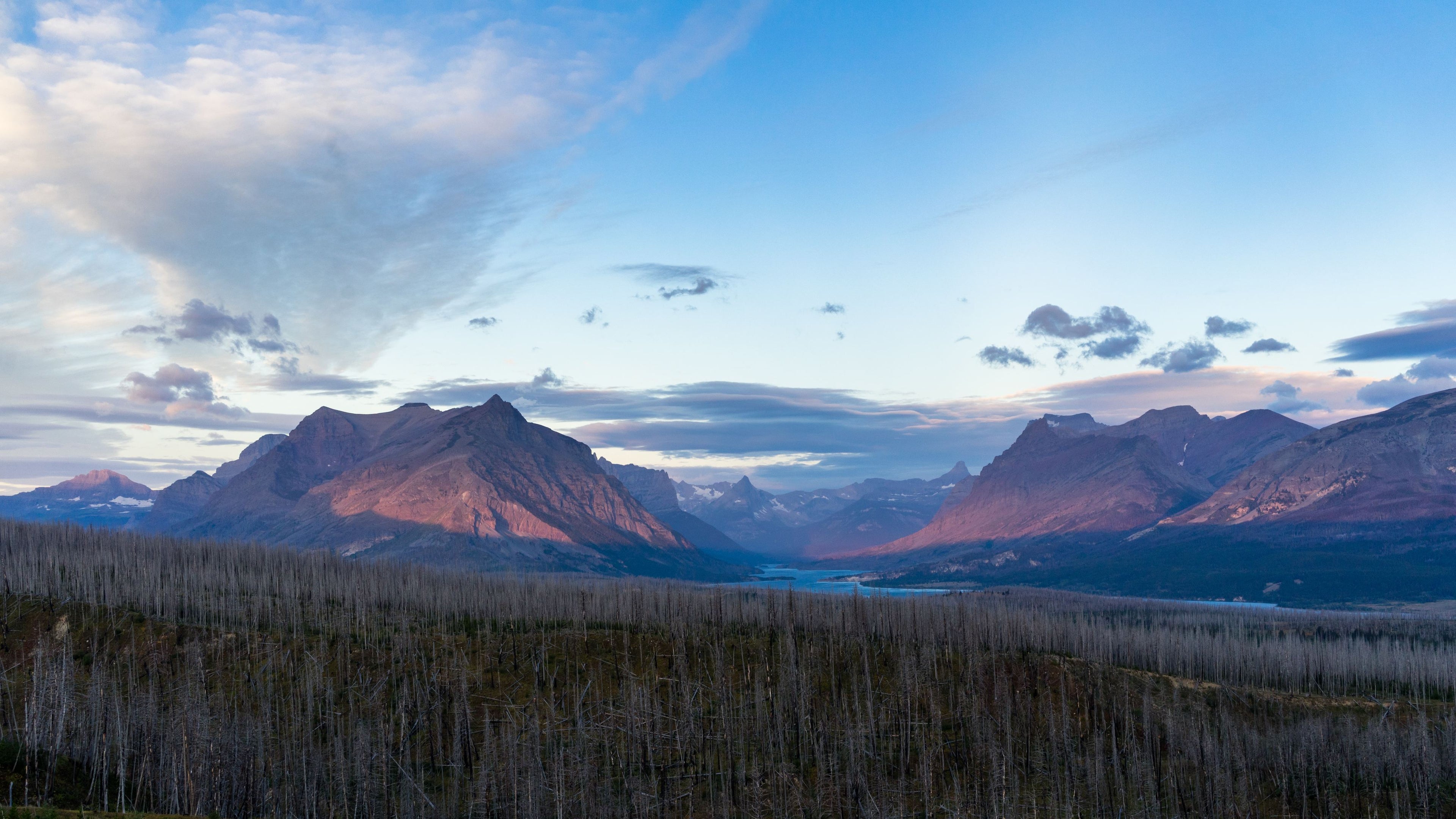 A burned forest with mountains in the background